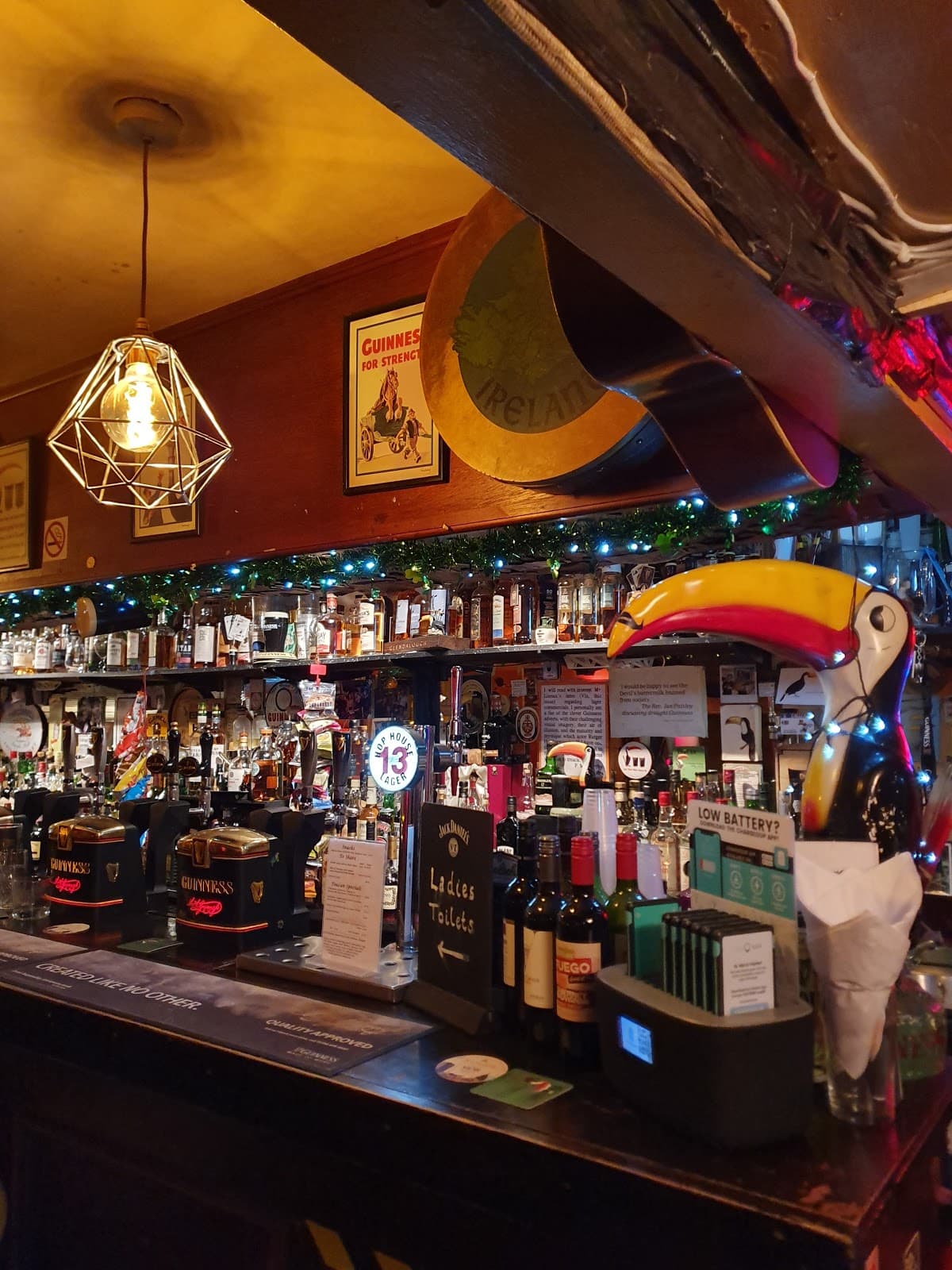 The Toucan